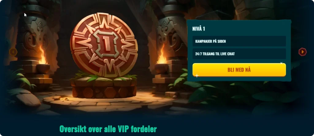 Spinanga VIP-program og lojalitetsnivåer