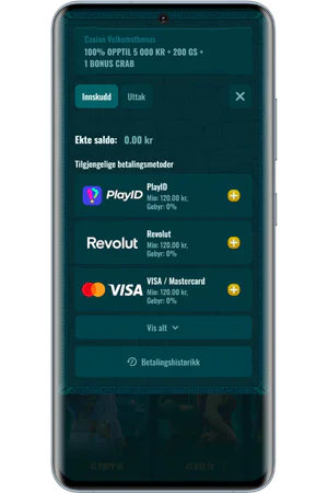 Spinanga Casino innskuddsskjema for betalinger